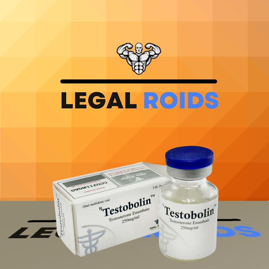 Testobolin (Testosterone Enanthate) 250mg/ml (10ml vial)