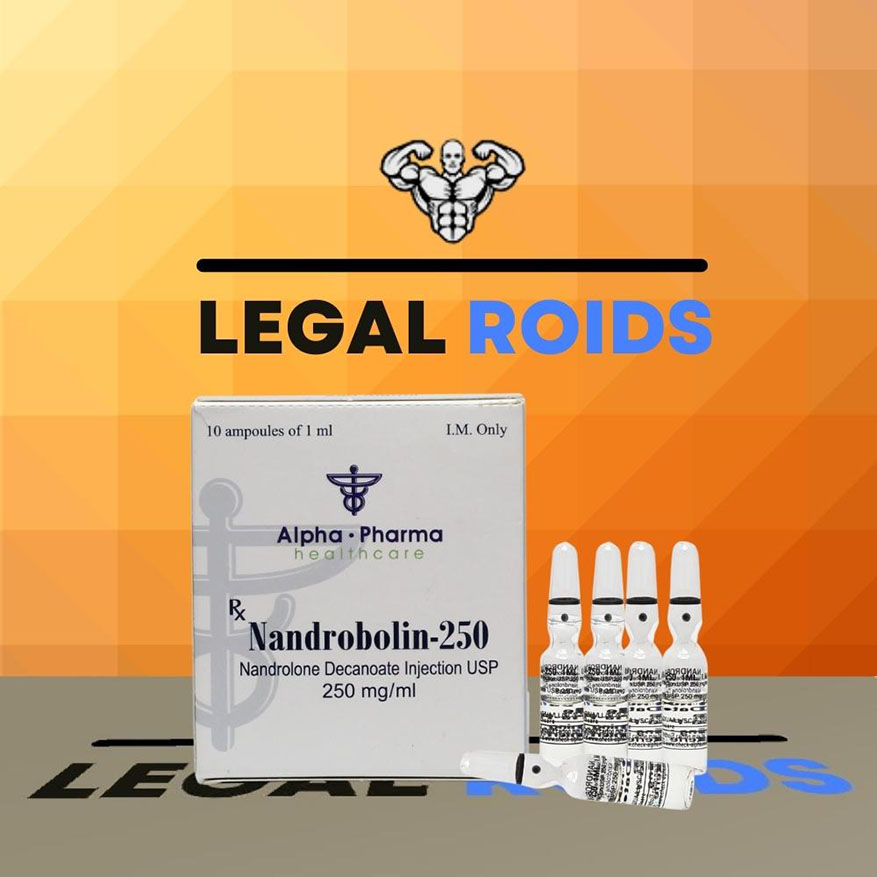 Nandrobolin (Nandrolone Deconoate) 250mg/ml (10 ampoules)