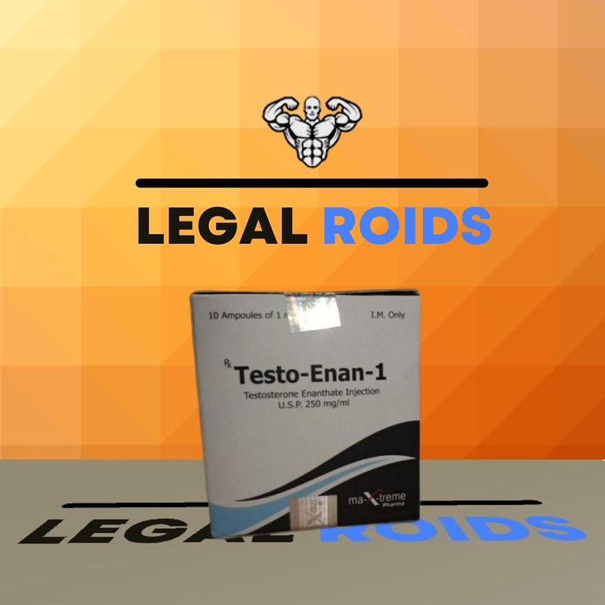 Testo-Enan-1 – Testosterone Enanthate 250