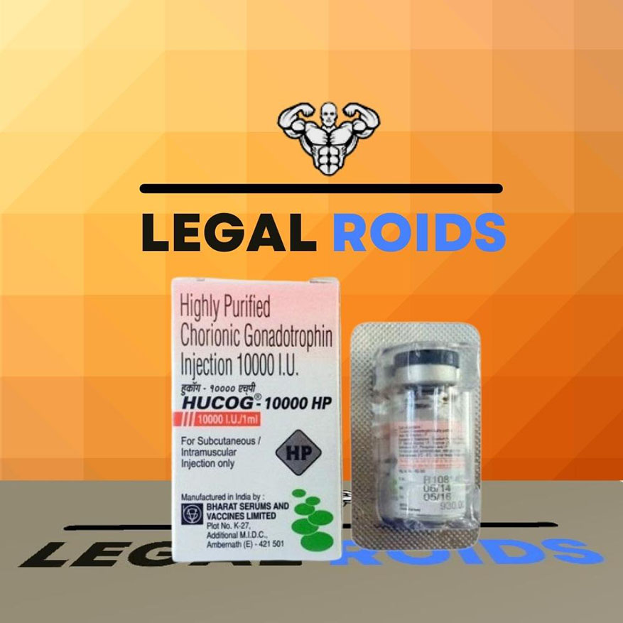 Human Chorionic Goandotrophin (HCG) 10000 IU