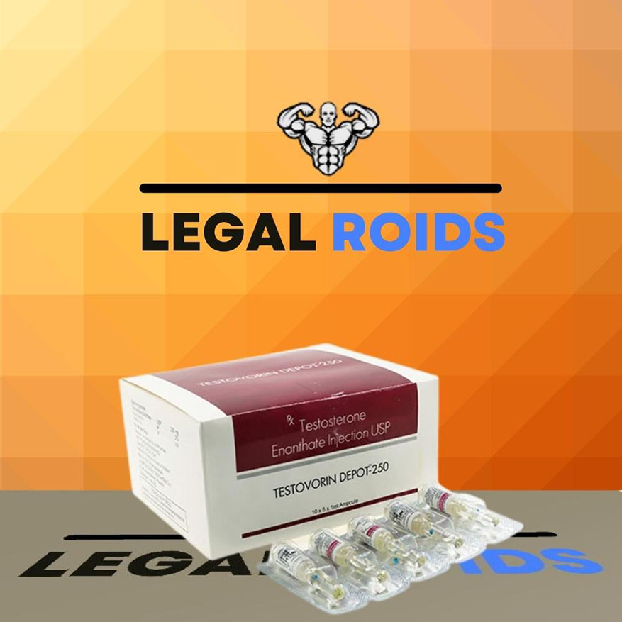 Testoviron Depot (Testo Enanthate 250mg/ml) (10 amp)