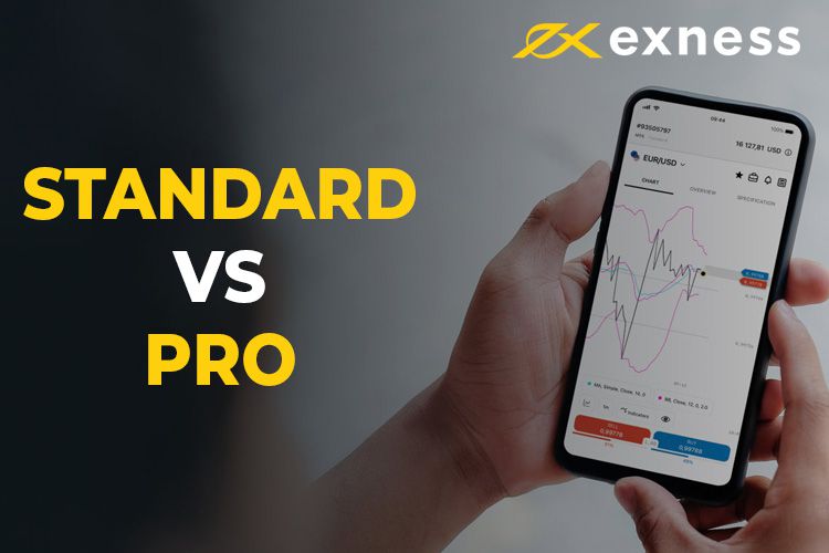 Understanding the Exness Forex Broker A Comprehensive Guide