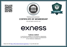 Understanding Exness Regulation Ensuring Safe Trading for Investors