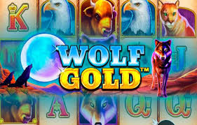 wolf gold casino 새로운 도전을 위한 최고의 선택