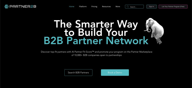 Unlocking Business Potential The Role of AI B2B Partners