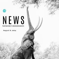 Unlocking Business Potential The Role of AI B2B Partners